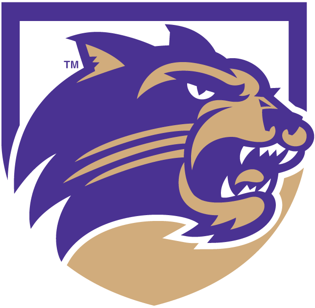 Western Carolina Catamounts 1996-2007 Alternate Logo 10 iron on paper